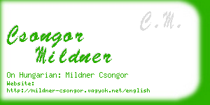 csongor mildner business card